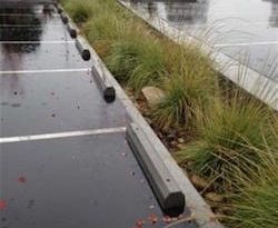 storm water